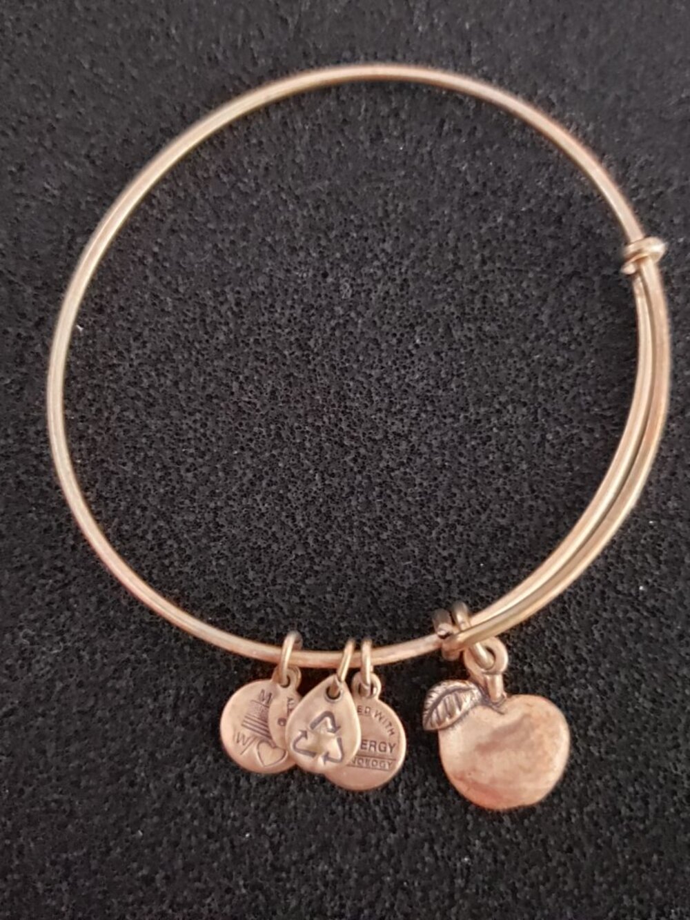 Alex and Ani Gold Apple Charm Bracelet Bangle 39